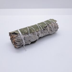 Sage/ Eukalyptus Smudge klein